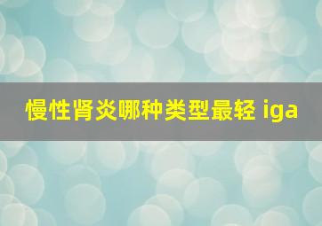 慢性肾炎哪种类型最轻 iga